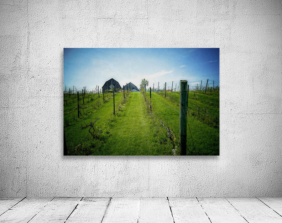 VINEYARD Wall Preview