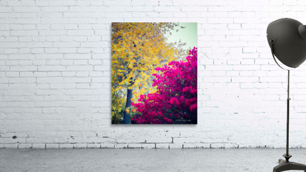 AUTUMN DREAM Wall Preview