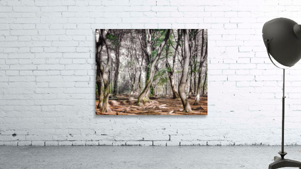 DANCING TREES I Wall Preview