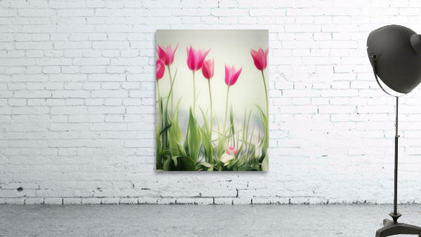 PINK TULIPS Wall Preview