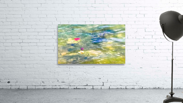 MONET Wall Preview
