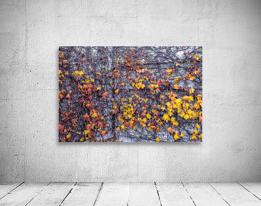 VINES & LIMESTONE Wall Preview