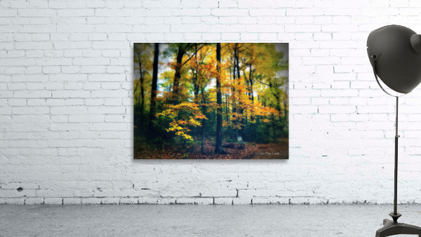 FALL COLOURS Wall Preview