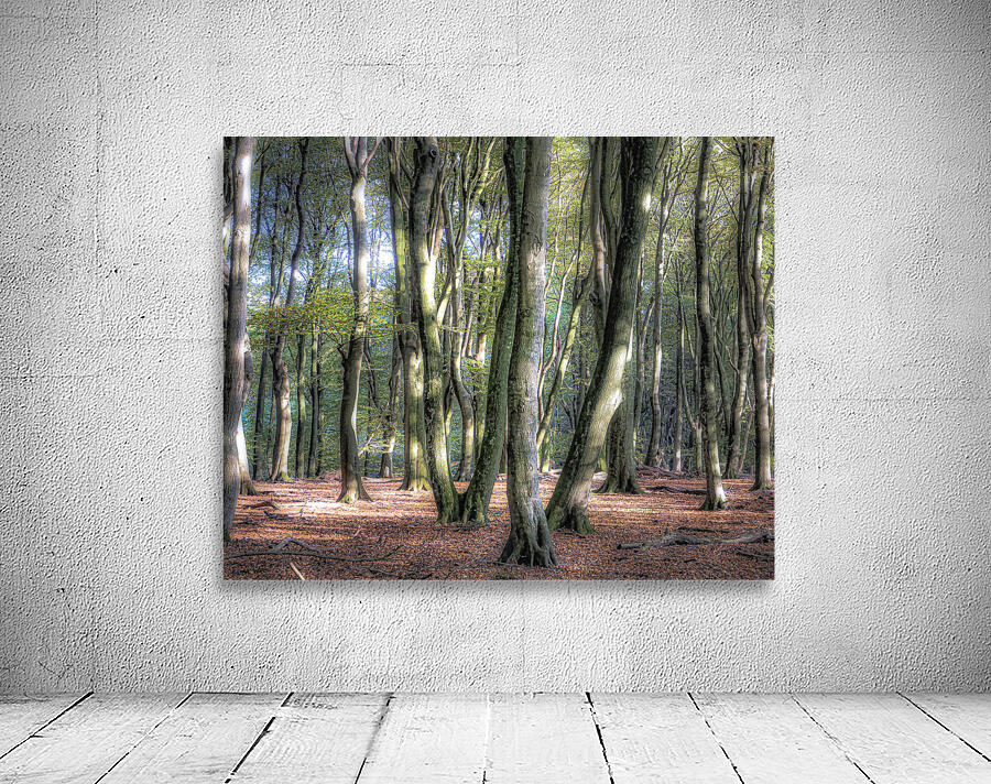 DANCING TREES II Wall Preview