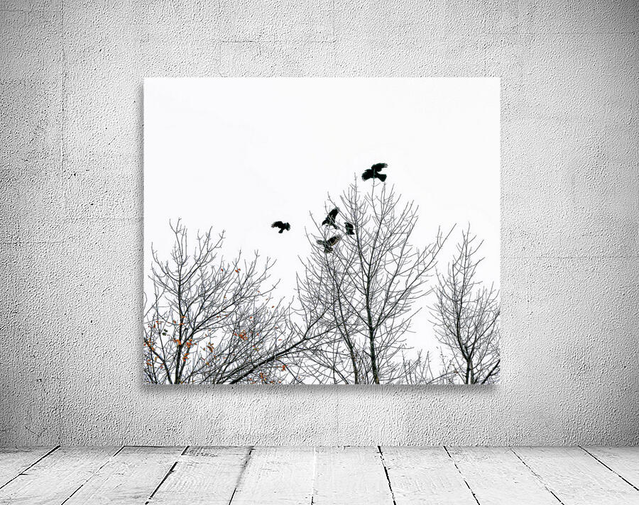 BLACKBIRDS II Wall Preview