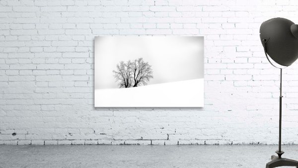 SOLITUDE I Wall Preview