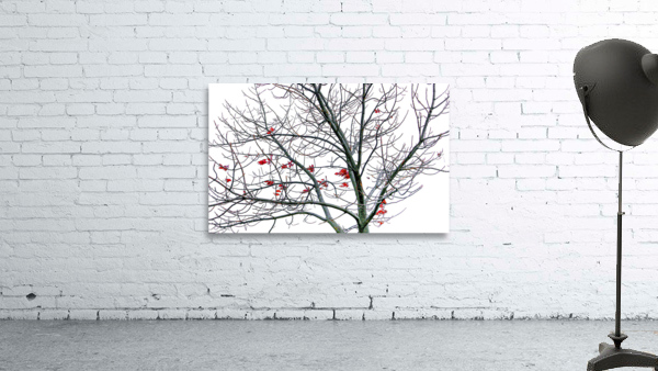 HANGING ON Wall Preview