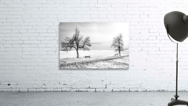 WAITING FOR SPRING Wall Preview