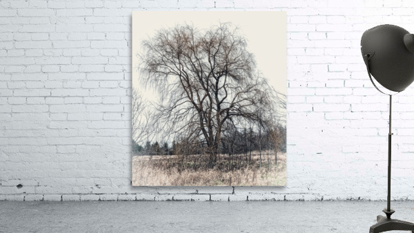 LONE TREE Wall Preview