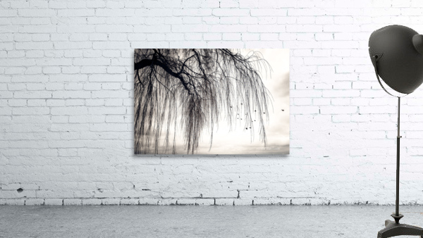 WEEPING WILLOW Wall Preview