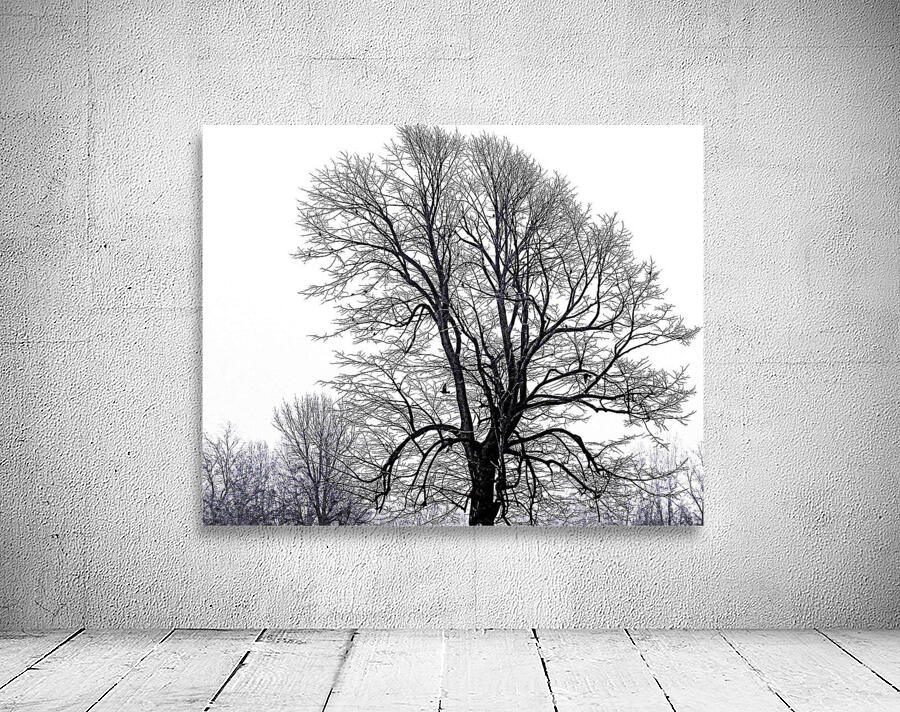 NAKED TREE Wall Preview