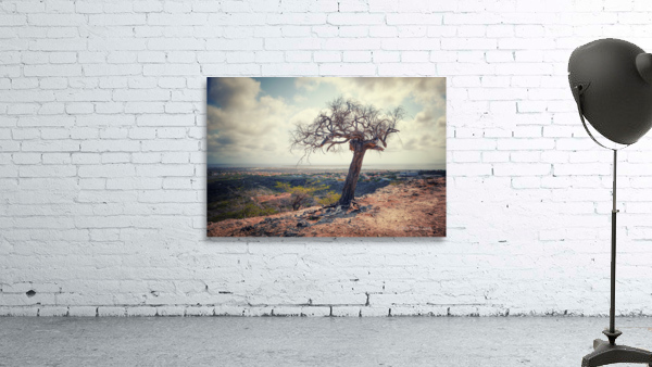 VISTA Wall Preview