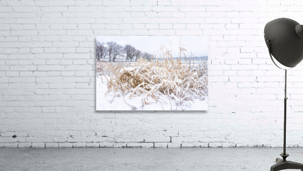  WINTER SCENE Wall Preview