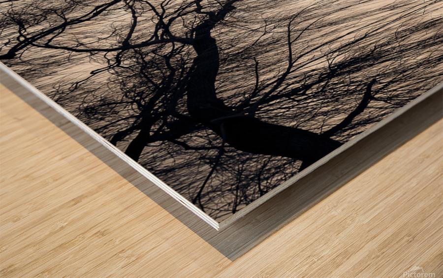 WEEPING WILLOW Wood print