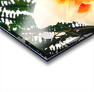 Orange&White Flower Acrylic print