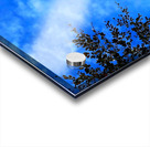 Sky&Trees Acrylic print