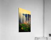 The Cliffs of Moher Ireland Acrylic Print