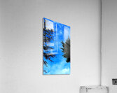 Sky&Trees Acrylic Print