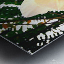 Orange&White Flower Metal print