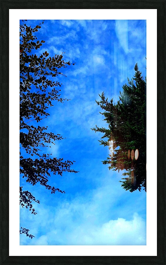 Sky&Trees Picture Frame print