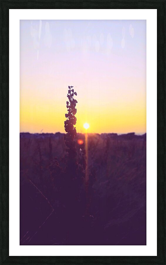 Sunset Galway  Picture Frame print