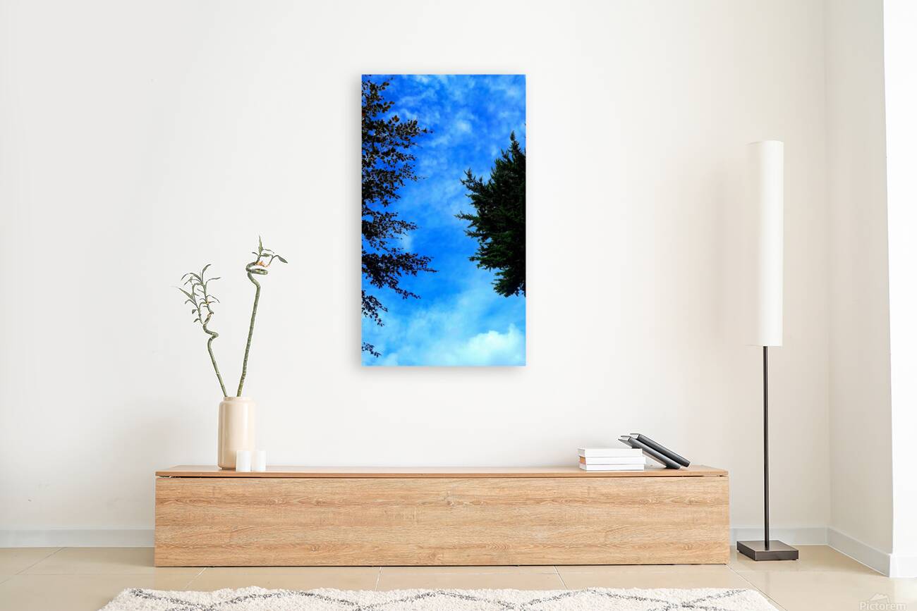 Sky&Trees Reproduction