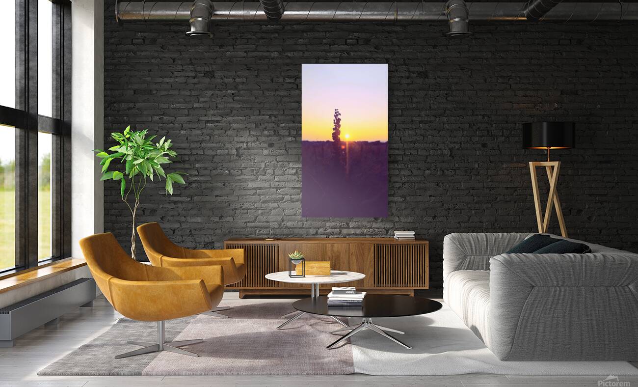 Sunset Galway  Reproduction