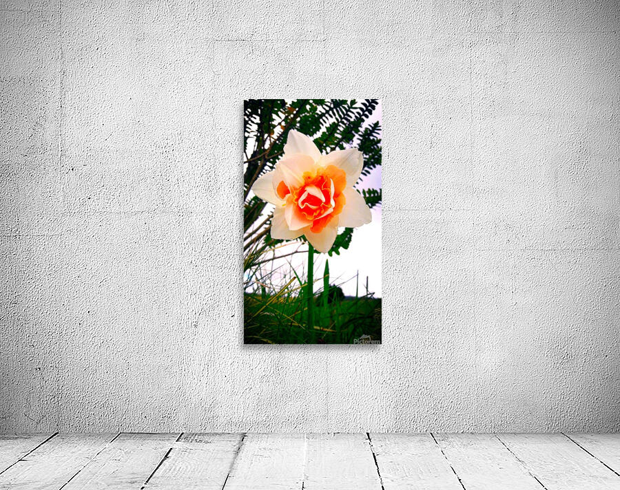 Orange&White Flower Wall Preview