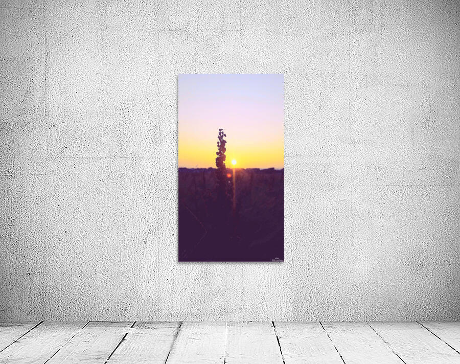 Sunset Galway  Wall Preview