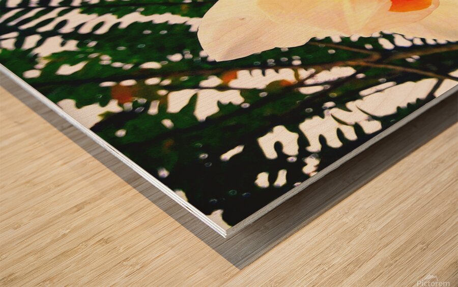 Orange&White Flower Wood print