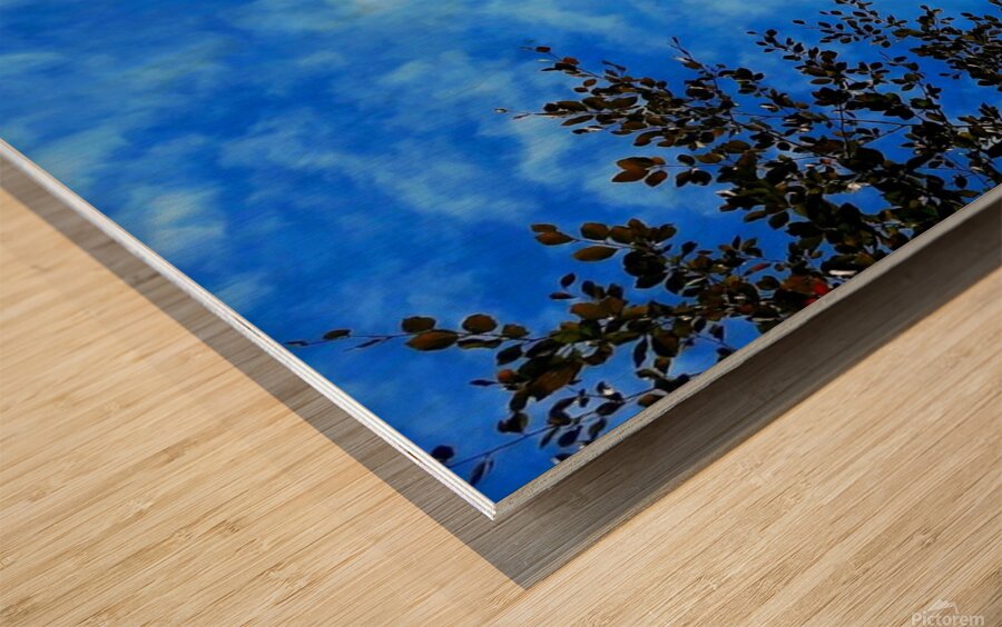 Sky&Trees Wood print