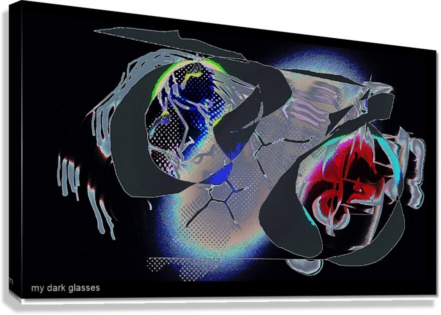 3. my dark glasses Canvas Print