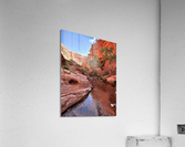 Kane Creek Stream Acrylic Print