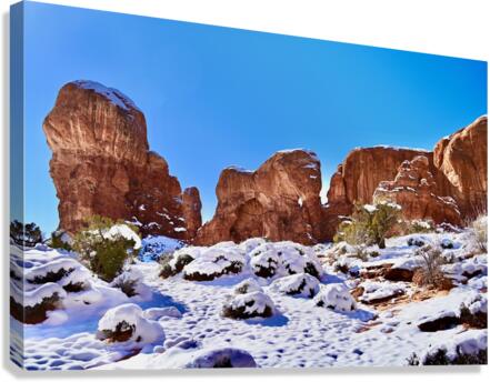 Elephant Arch in Winter Canvas Print
