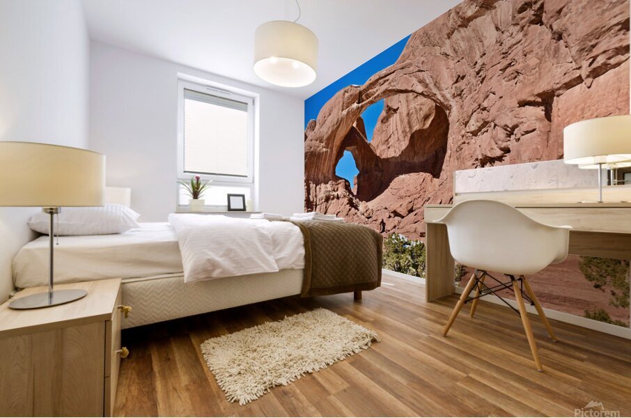 Double Arch Winter Mural print