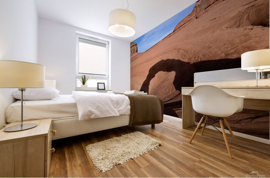 Delicate Arch Winter Shadow Mural print