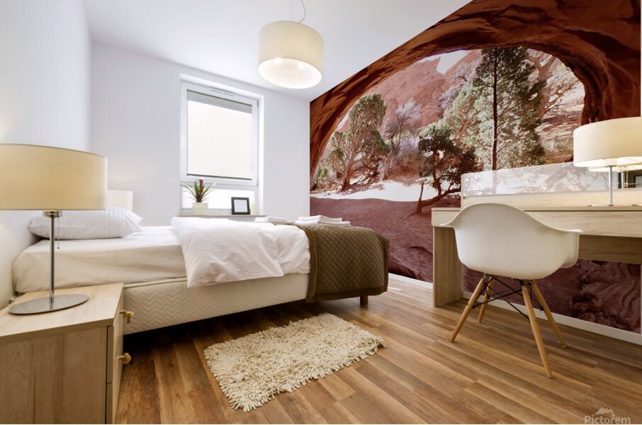 Private Arch Mural print