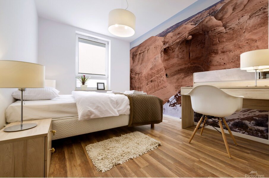 Delicate Arch Hike Up Mural print