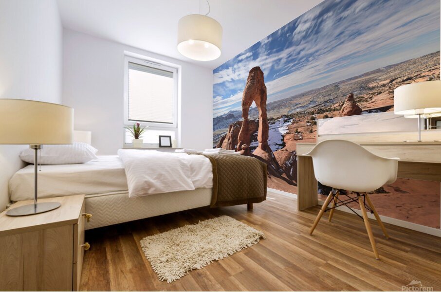 Delicate Arch Looking West Mural print
