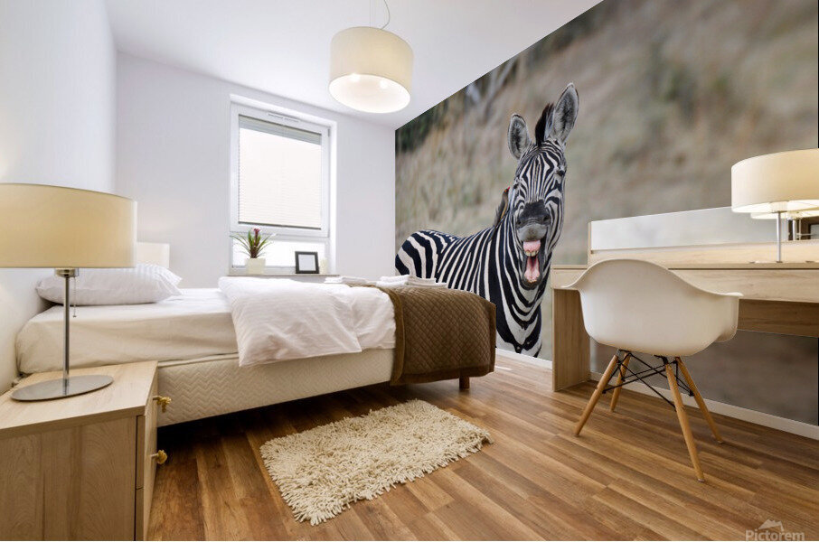 Funny Zebra Mural print