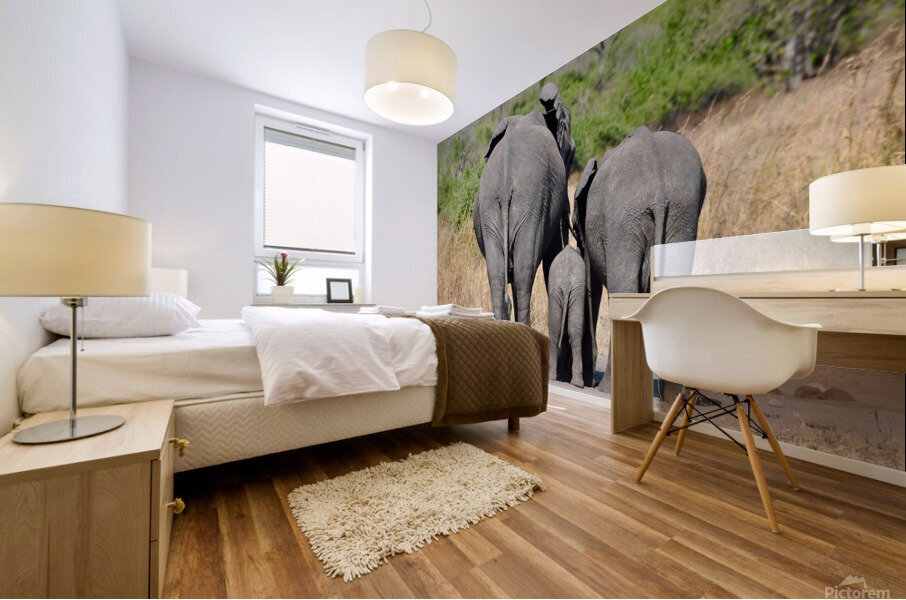 Elephant Generations Mural print