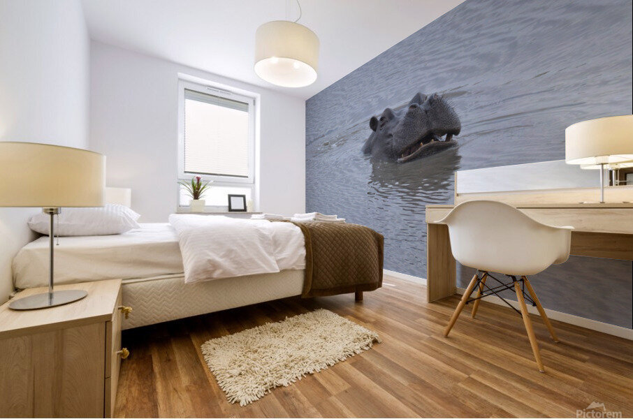 Mischievous Hippo Mural print