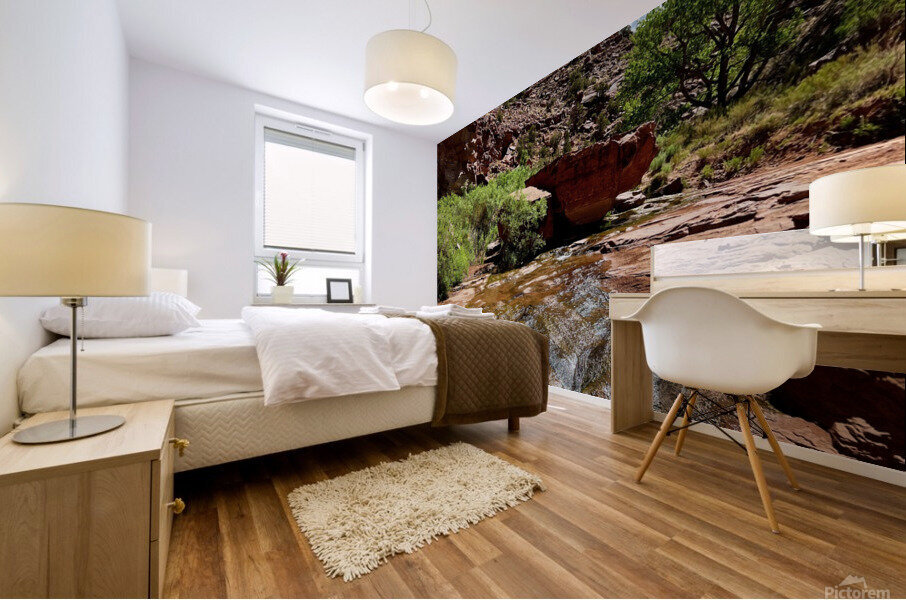 Kane Creek Flow Mural print