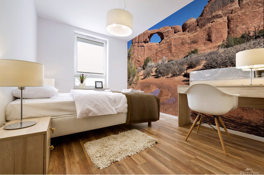 Skyline Arch Reflection Mural print