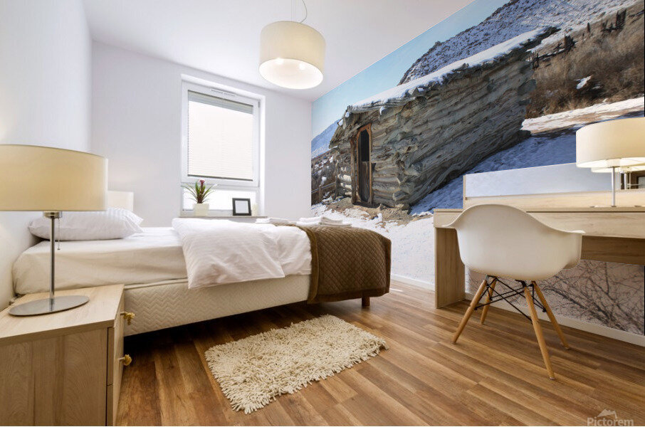 Arches  Wolfe Ranch Cabin Mural print
