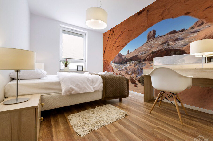 Whale Eye Arch Mural print