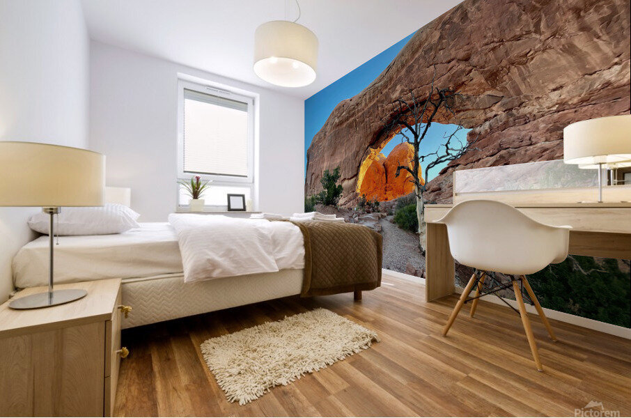 North Window Arch Mural print