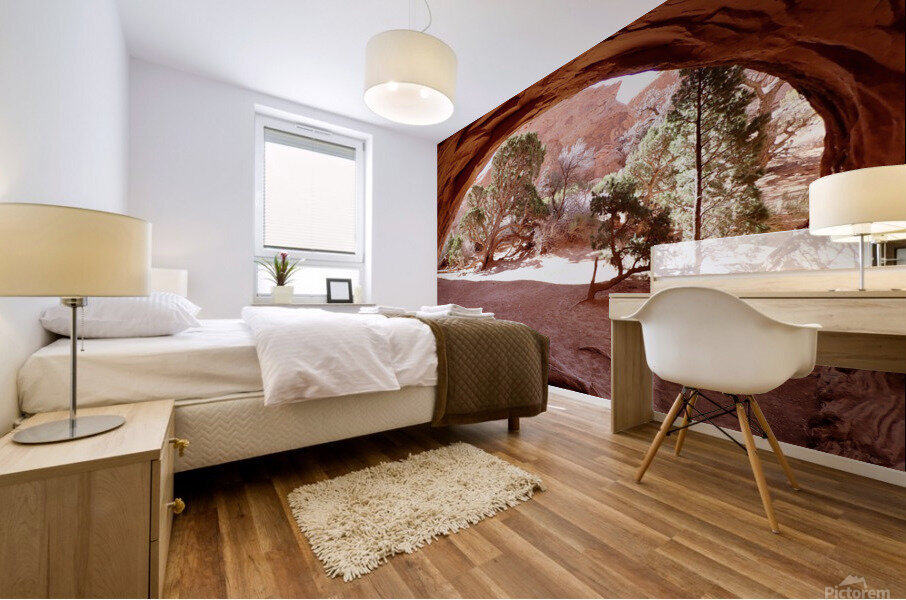 Private Arch Mural print