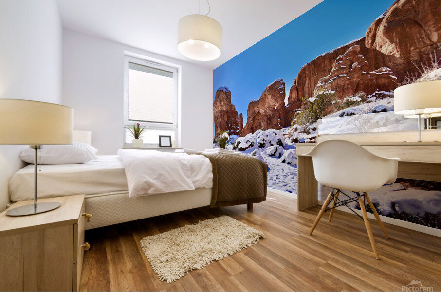 Elephant Arch in Winter Mural print