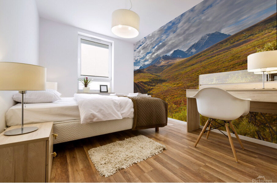 Version 2 54 Mural print